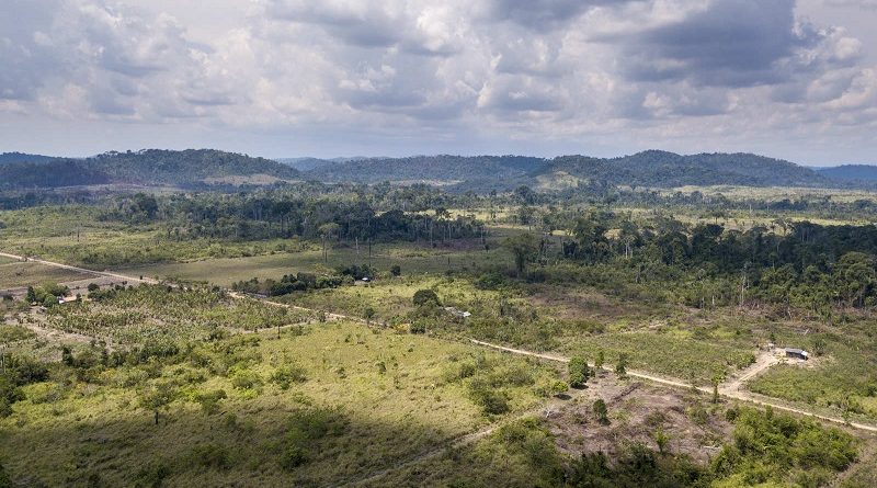 Assentamento Terra Nossa, (foto: Arquivo)
