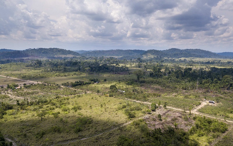 Assentamento Terra Nossa, (foto: Arquivo)