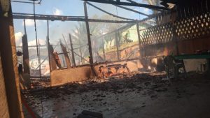 c01db9b3-575a-438f-9b5d-86b16a7f6d15