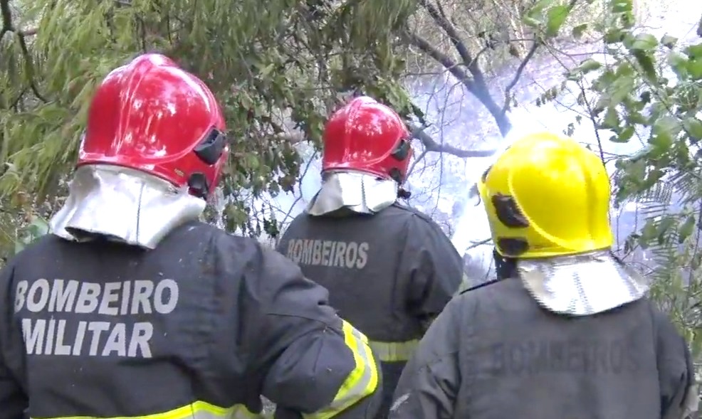 O Corpo de Bombeiros está no local e a PM auxilia as equipes que trabalham na ocorrência.Reprodução