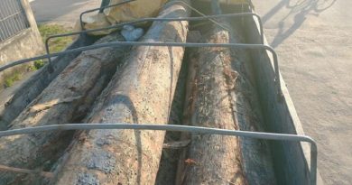 77246e32-c95c-4100-99ff-6f8181e01239