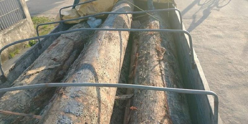 77246e32-c95c-4100-99ff-6f8181e01239