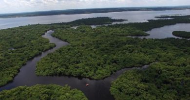Amazônia