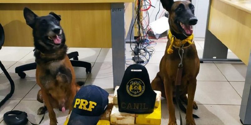 WhatsApp-Image-2021-08-23-at-08-33-21-1