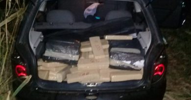 maconha_BXZq6Bv_widelg