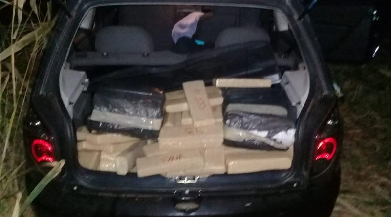 maconha_BXZq6Bv_widelg