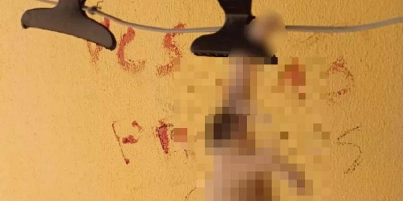 vizinho-mata-cachorros-1280x720