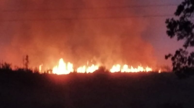 3e63ad10-1341-4449-97e2-d423246693d1