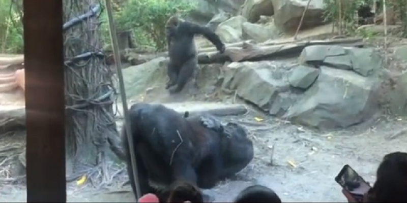 imagem-2021-09-28-195601