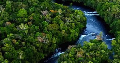 Rio Azul Jungle Lodge, localizada na cidade de Novo Progresso, no Pará. (Foto>Reprodução)