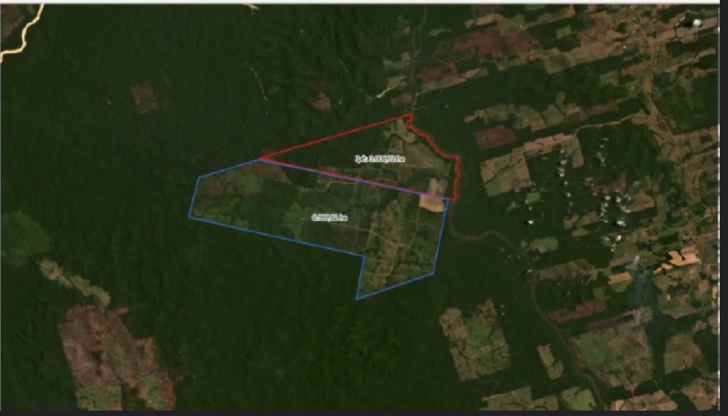 Imagens obtidas pela PF mostram a área desmatada na Unidade de Conservação – Vídeo: PF/Divulgação