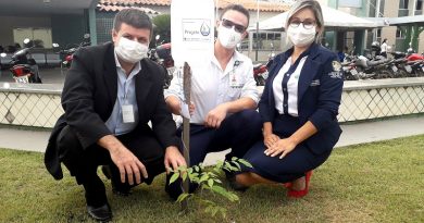 HRSP já plantou dezenas de mudas na unidade. Fotografia Comunicação Pró-saúde