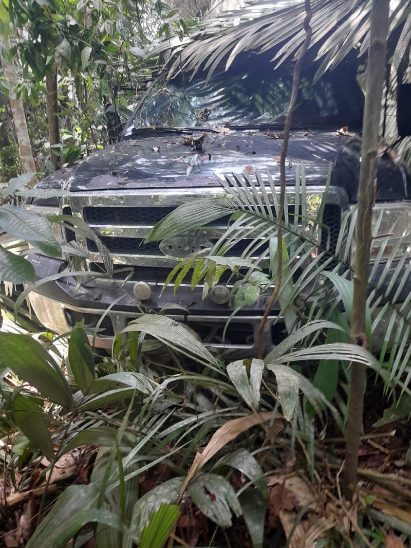 F4000 encontrada no matagal na cidade de Trairão (Foto:Via WhatsApp)