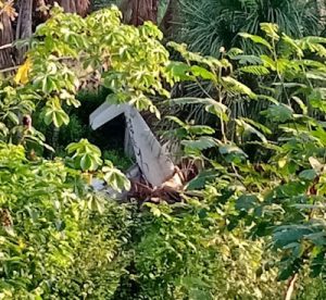 cdc2d48e-5cec-4290-95cb-0c6b97ccdee0