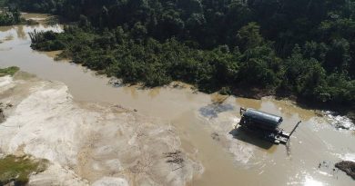 xgarimpo.jpg.pagespeed.ic.Lzy_leq-4V