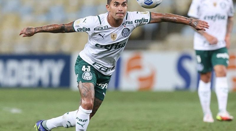 51680222588_1be20b8a6c_c-800x556