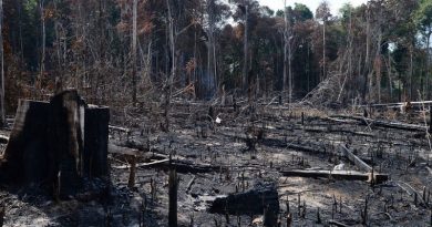 desmatamento-amazonia