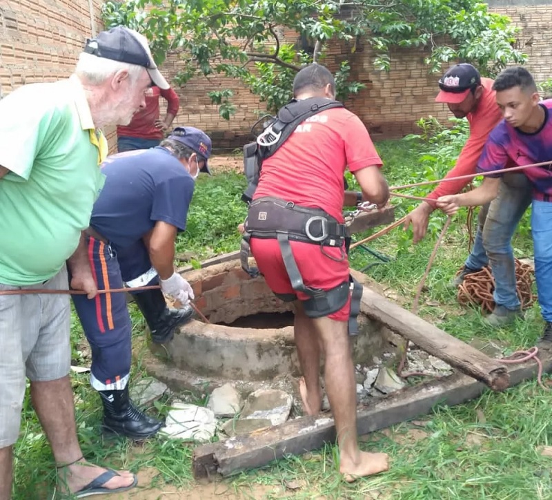  Menina de dois anos cai em poço e mãe pula para tentar salvá-la em MT — Foto: Arquivo pessoal/Paullan 