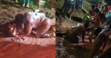 whatsapp-image-2021-11-08-at-133356