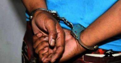 algemmam-e1639929414462