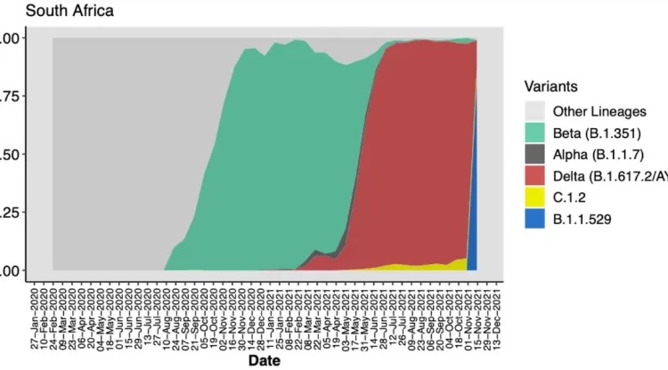 Um gráfico divulgado pelas autoridades da África do Sul mostra as variantes de coronavírus mais dominantes no país ao longo da pandemia. Após 'domínio da delta' (mancha vermelha), ômicron (mancha azul) está rapidamente ganhando terreno Imagem: Divulgação