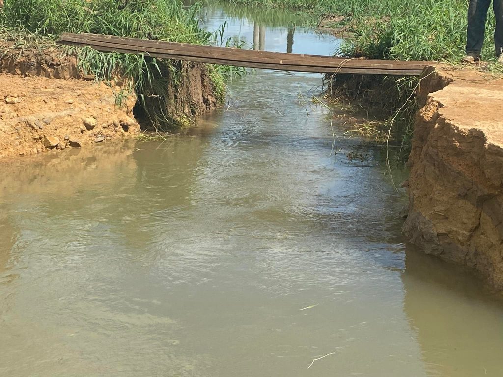 271187934_4593373940758266_5949797098164241366_n