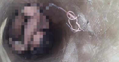 portaldoholanda-whatsappimage2022-01-02at212441-1125885