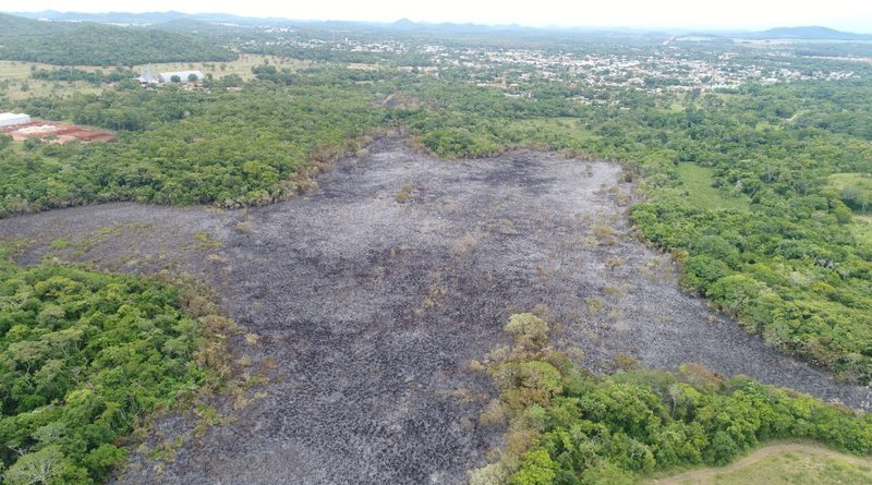 desmatamento
