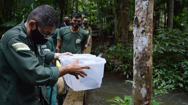 foto de arquivo - Jairo Moura ZOOUNAA