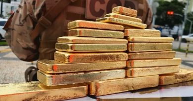 Barras de ouro apreendidas pela PM em Montes Claros de Goiás — Foto: Reprodução/TV Anhanguera