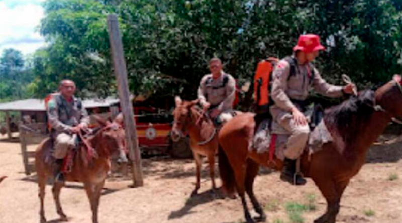 desaparecido na mata