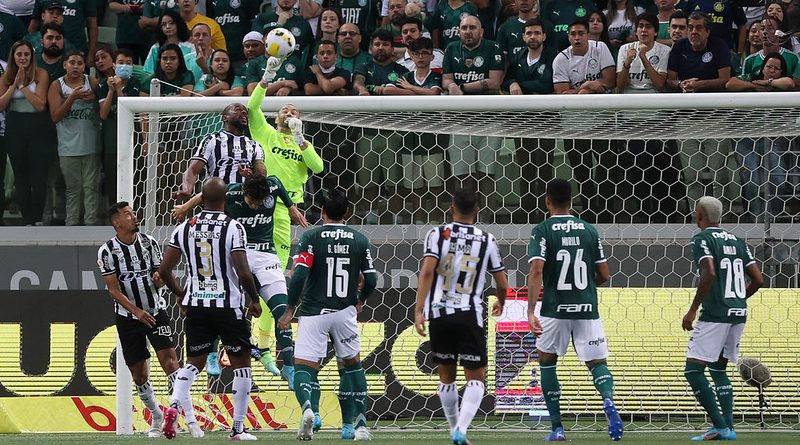 51994079995_7eccae0ceb_c