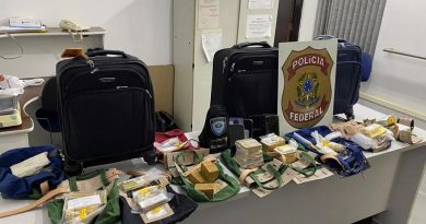 Polícia Federal apreende 77 quilos de ouro em Sorocaba (SP) — Foto: Polícia Federal/Divulgação
