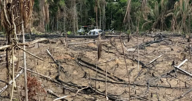 desmatamento3