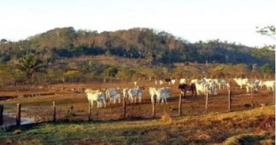 a4c18cc72d263027cfa8e347fe3c0941