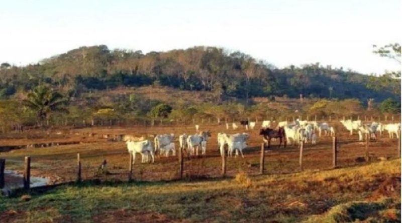 a4c18cc72d263027cfa8e347fe3c0941