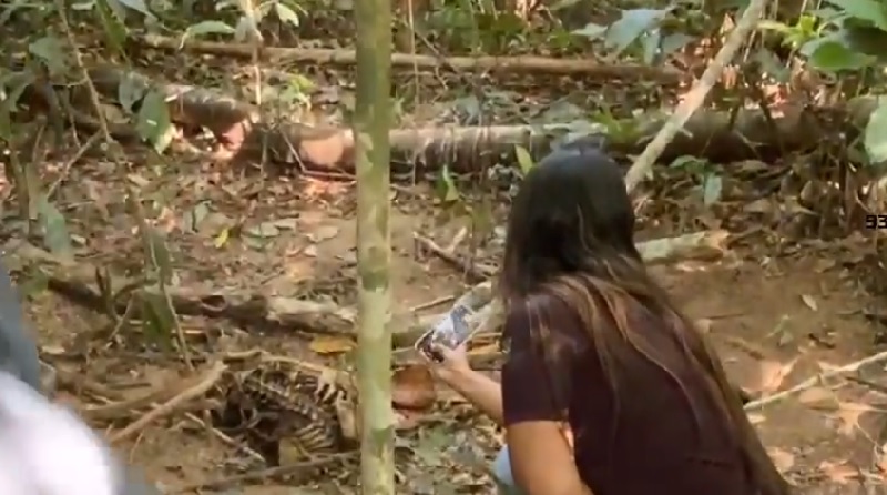 Ossada foi encontrada em área de mata da fazenda em Novo Progresso.