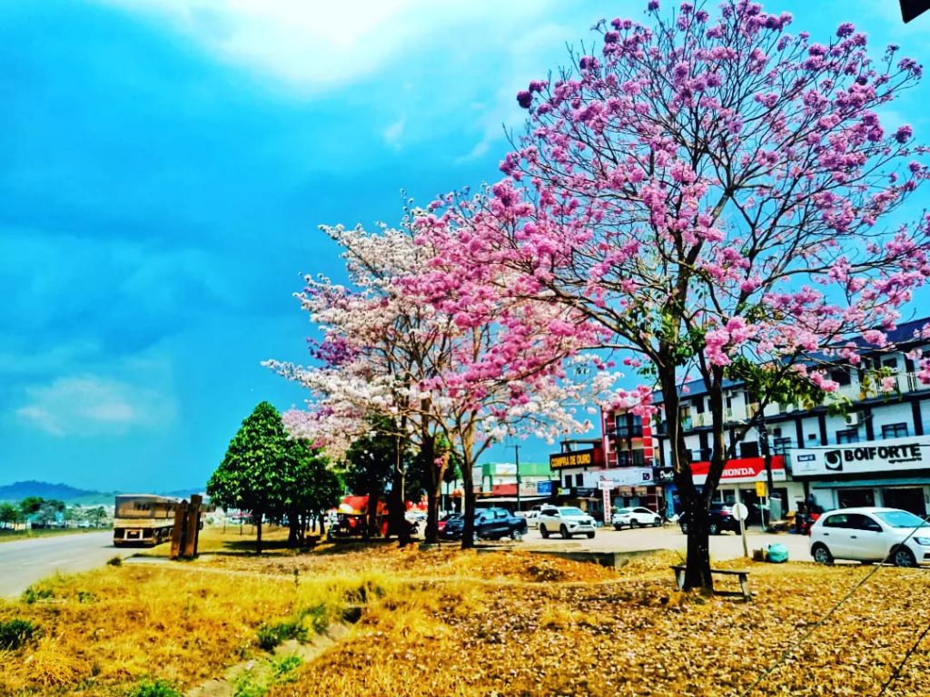 301580981_2600787260053541_617728816452257101_n