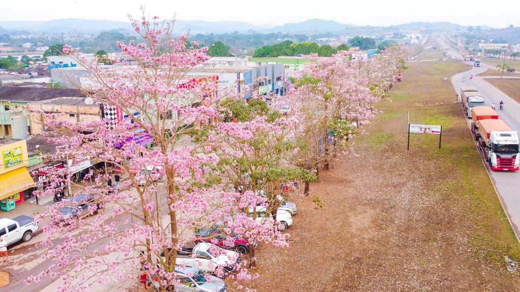 301643268_2600787110053556_6566379321258315744_n