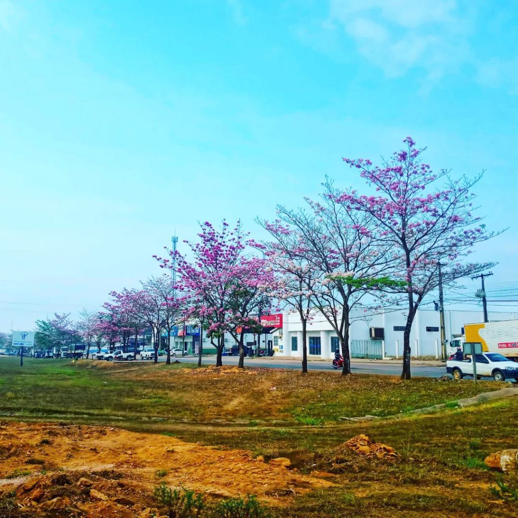 301861857_2600787296720204_5334179423152248725_n