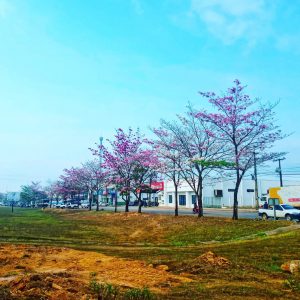 301861857_2600787296720204_5334179423152248725_n