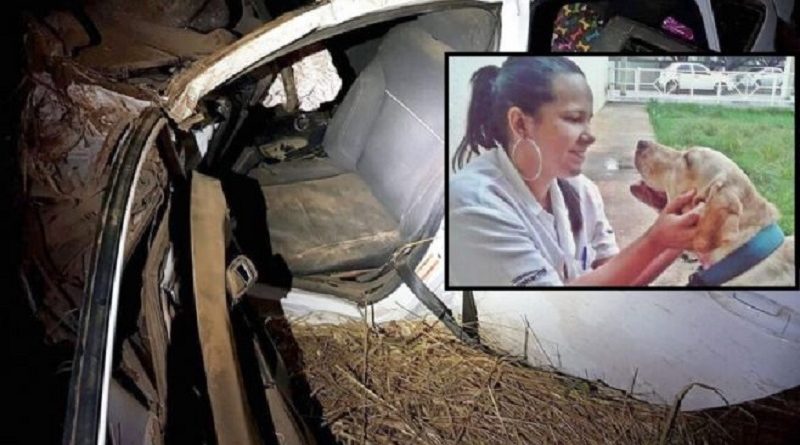 Veterinaria-bate-em-anta-capota-carro-e-morre-na-BR-163
