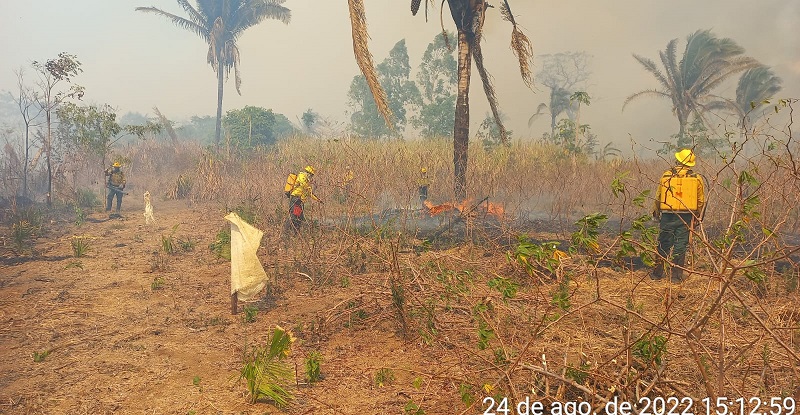 Brigadistas do ICMBio apagam fogo no Assentamento Terra Nossa 