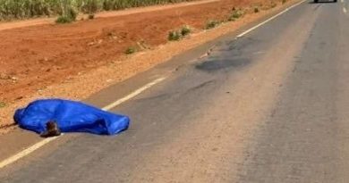 amp-2ee8a83f-2235-4072-82ea-b0ee8cf04c5c