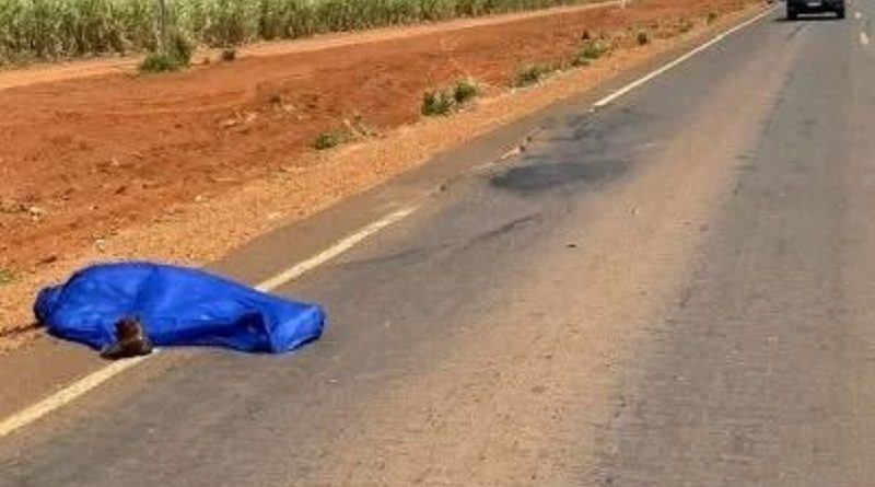 amp-2ee8a83f-2235-4072-82ea-b0ee8cf04c5c