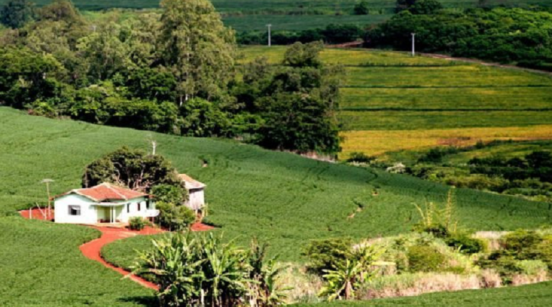 fazenda