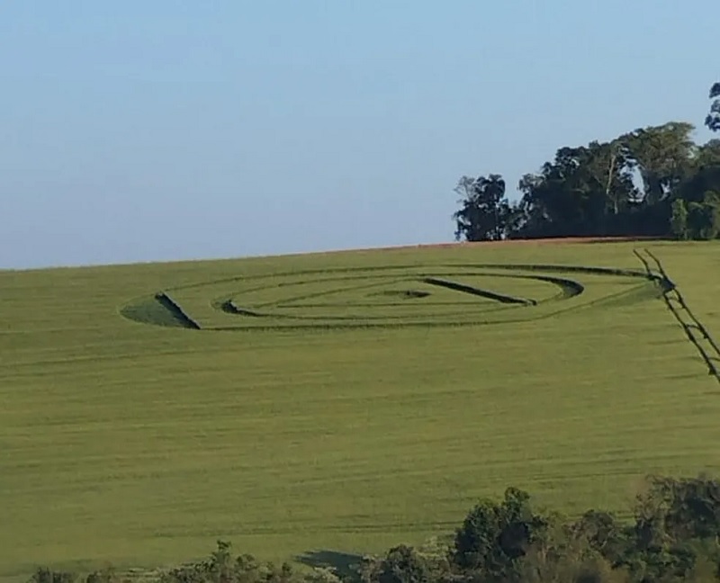 Agroglifos em SC é mistério para proprietário da área. — Foto: Tiago Kosinski/Divulgação