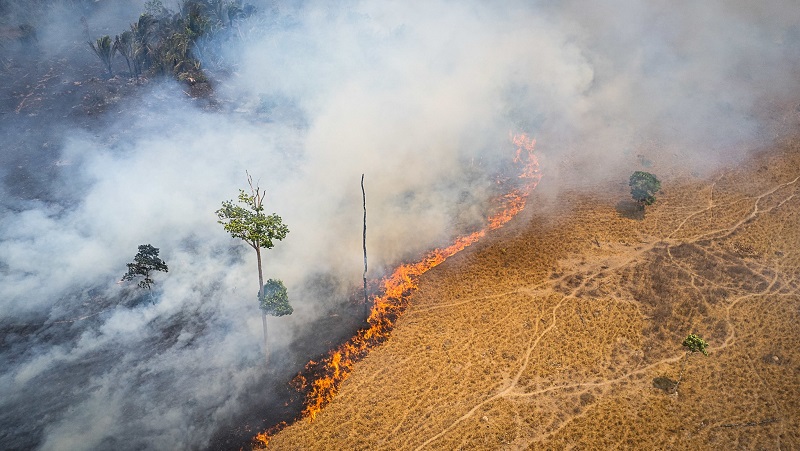 Focos de incêndio na via de acesso à Terra Indígena Bau, do povo Kayapó, em Novo Progresso, Pará: com Lula, promessa de retomada de programas de controle e combate a queimadas e desmaamento (Foto: Cícero Pedrosa Neto/Amazônia Real - 02/09/2022)