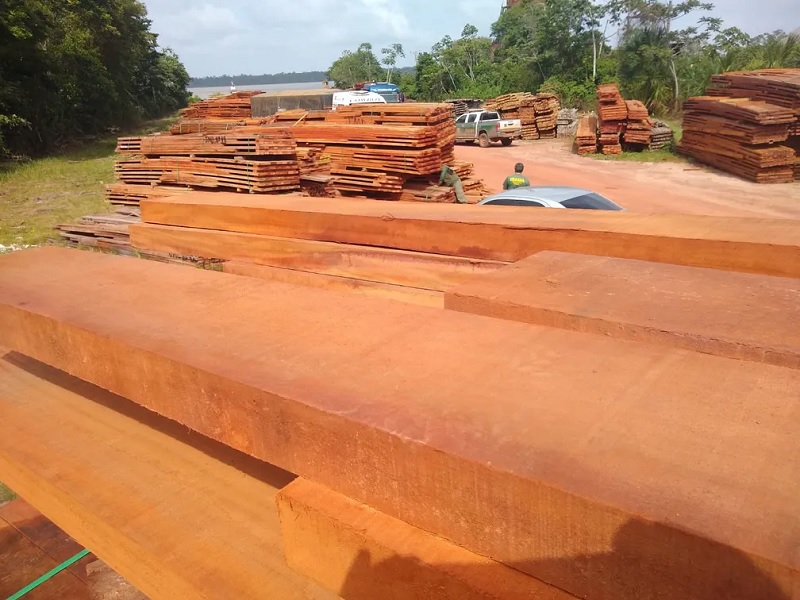  Ibama apreendeu toras de madeira em Belém neste sábado — Foto: Ibama/Divulgação