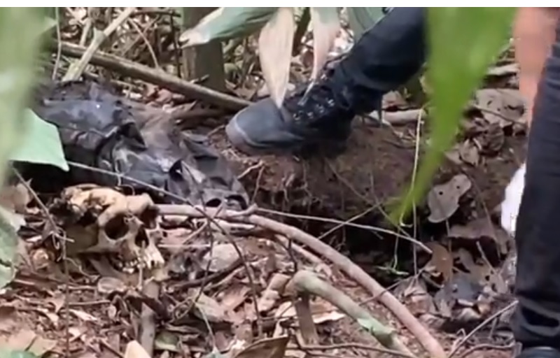 Ossada em decomposição encontrada sem identificação - (Foto: Reprodução Tv Progresso-Facebook)